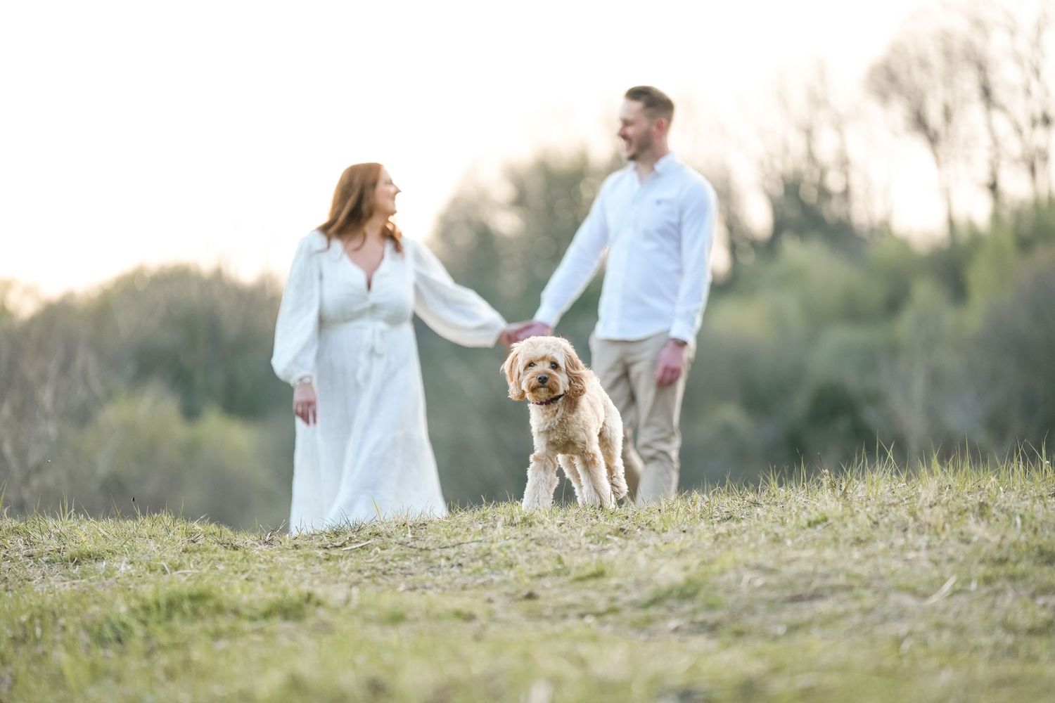 Couple strolling through a sunlit field during golden hour.