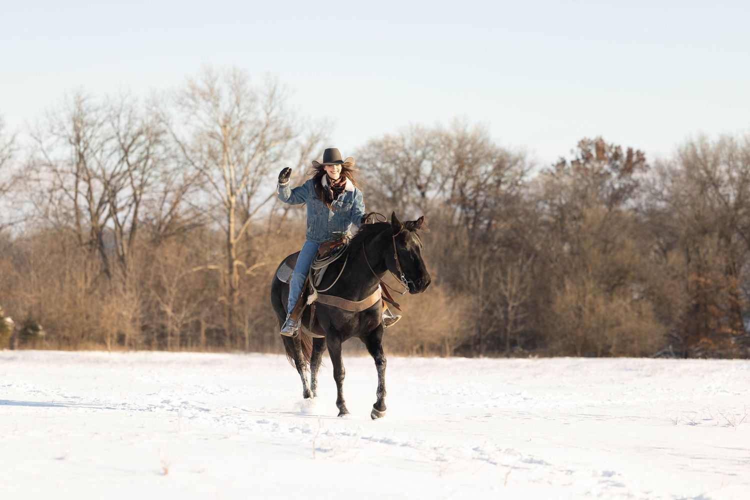 A person rides a black horse galloping through snowy terrain with bare winter trees in the background.