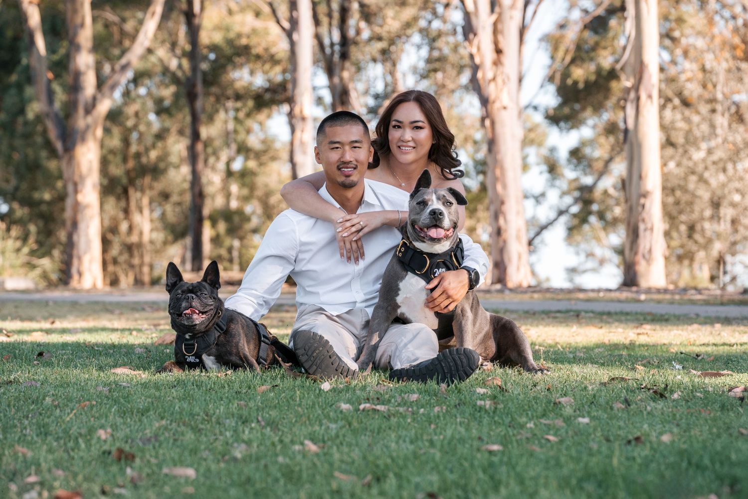 An elopement photoshoot at the Western Sydney Parklands with a frenchy and a staffy. A man sitting on the grass and a girl hugging him