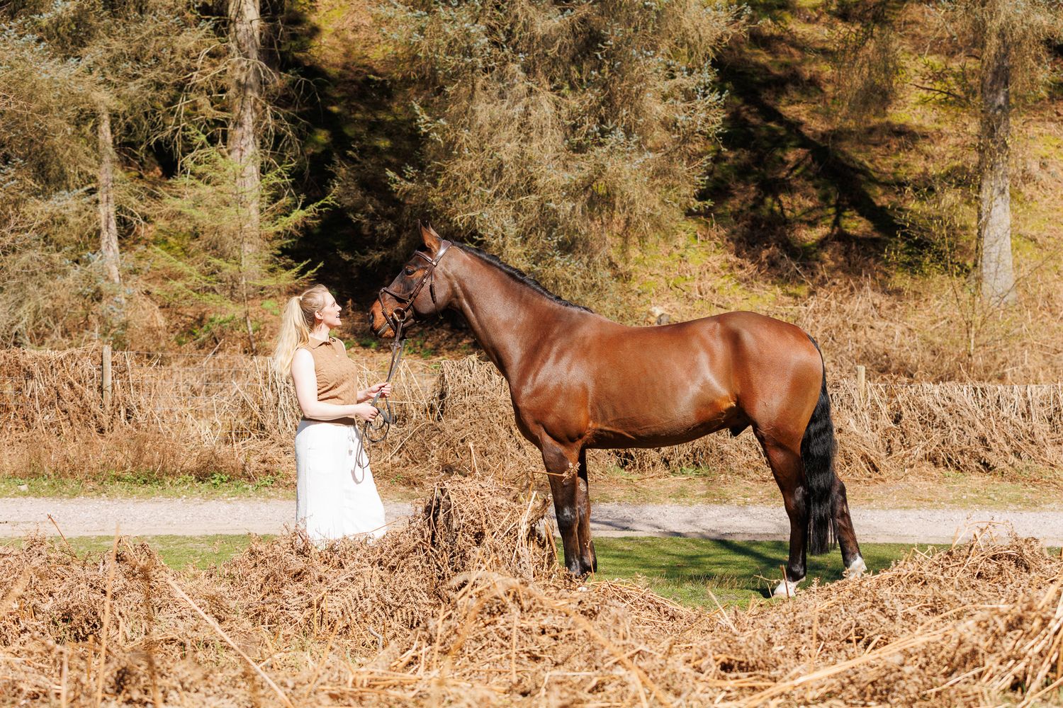 A person leads a palomino horse along a sunlit forest trail surrounded by tall evergreen trees.