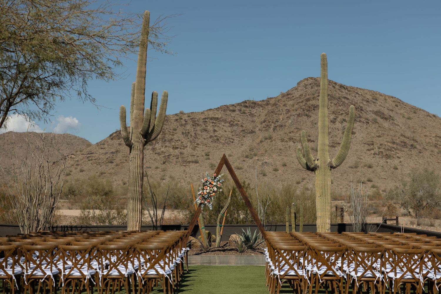 A panoramic desert landscape with tall saguaro cacti and rugged mountains in the background under a blue sky.