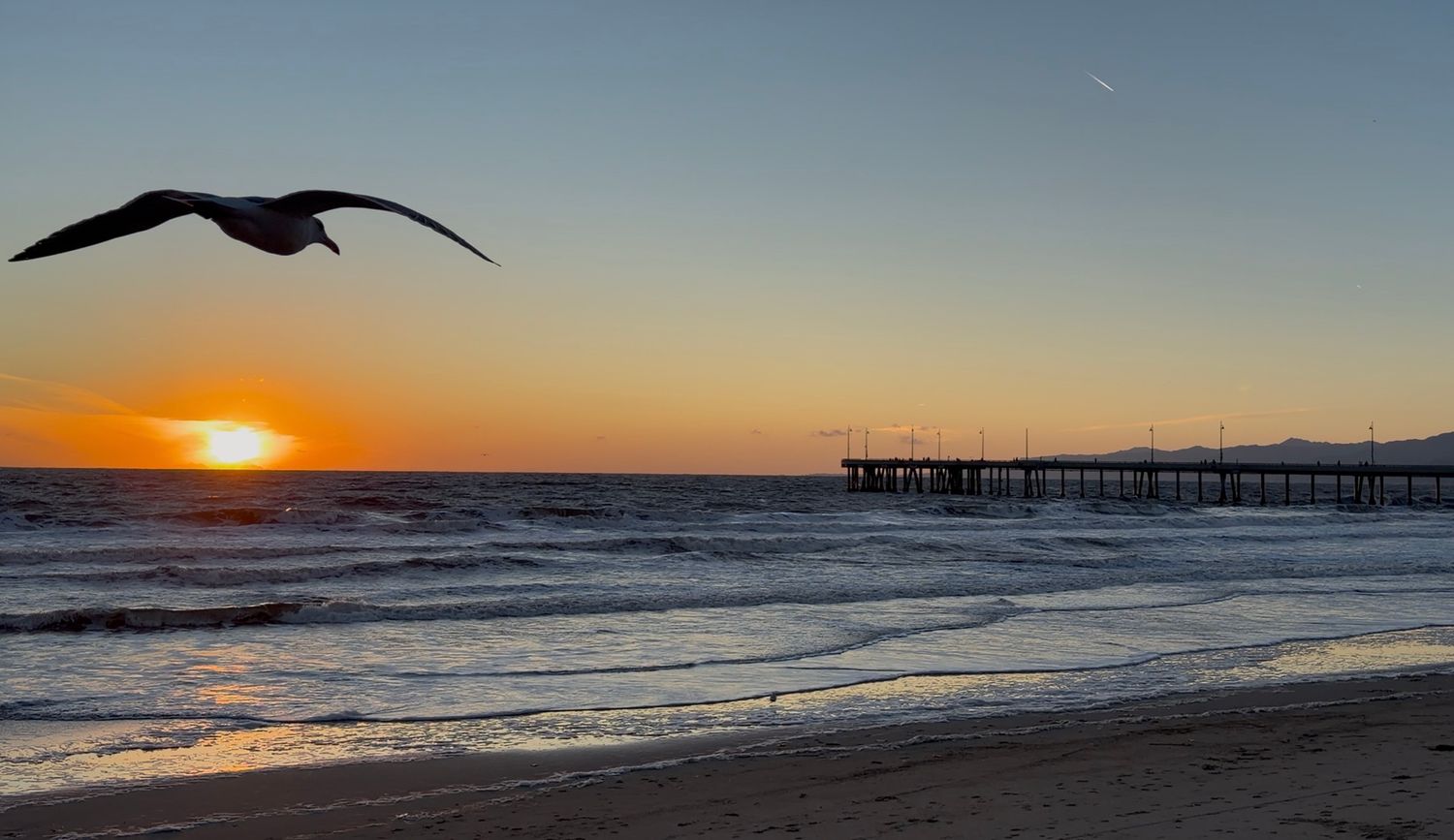 Seagull soars over tranquil ocean waves at sunset with a wooden pier silhouetted against the orange sky.