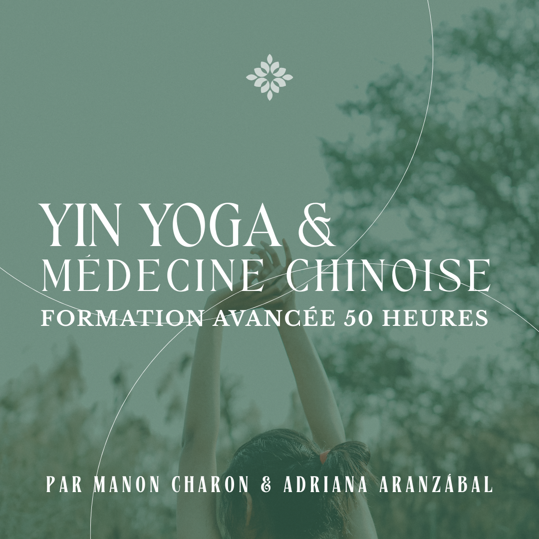 Formation Yin yoga & Médecine chinoise Adriana Aranzabal & Manon Charon_Yoga Korner