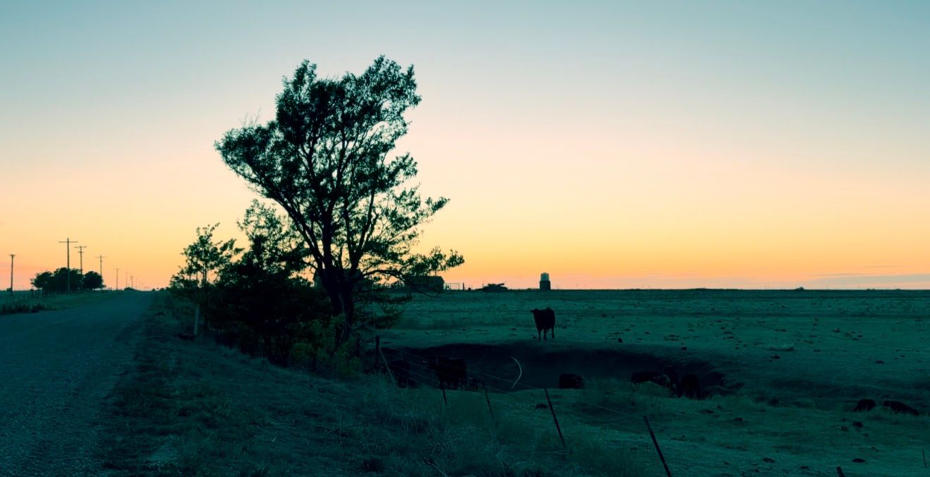 A lone tree silhouetted against a vibrant sunset sky beside a rural road stretching across flat open plains.