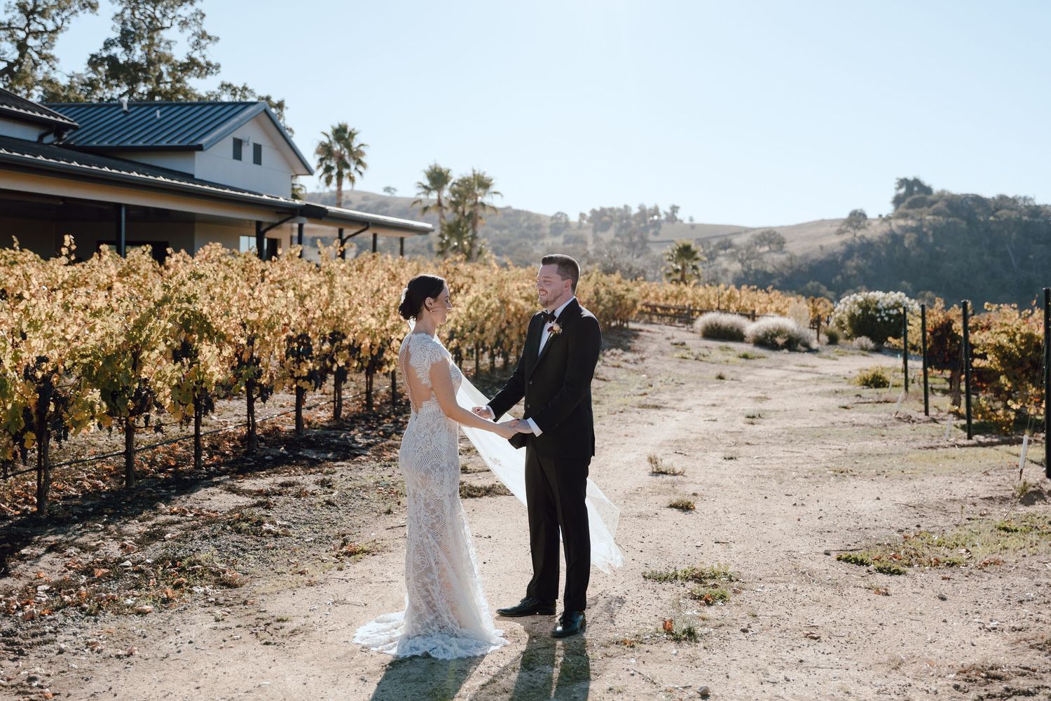 A couple in wedding attire dancing together on a dirt path between rows of grapevines in a vineyard at sunset.