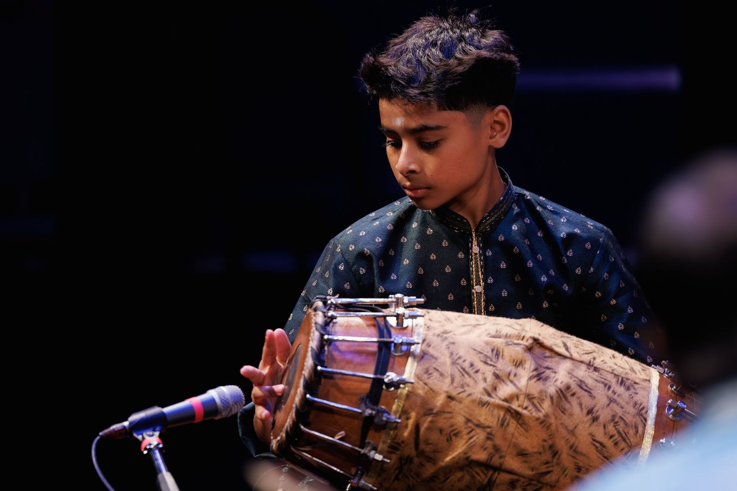 A musician plays a traditional stringed instrument during a cultural performance.