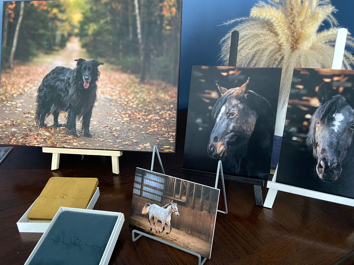 A series of framed black and white dog photographs displayed on a dark wooden surface.