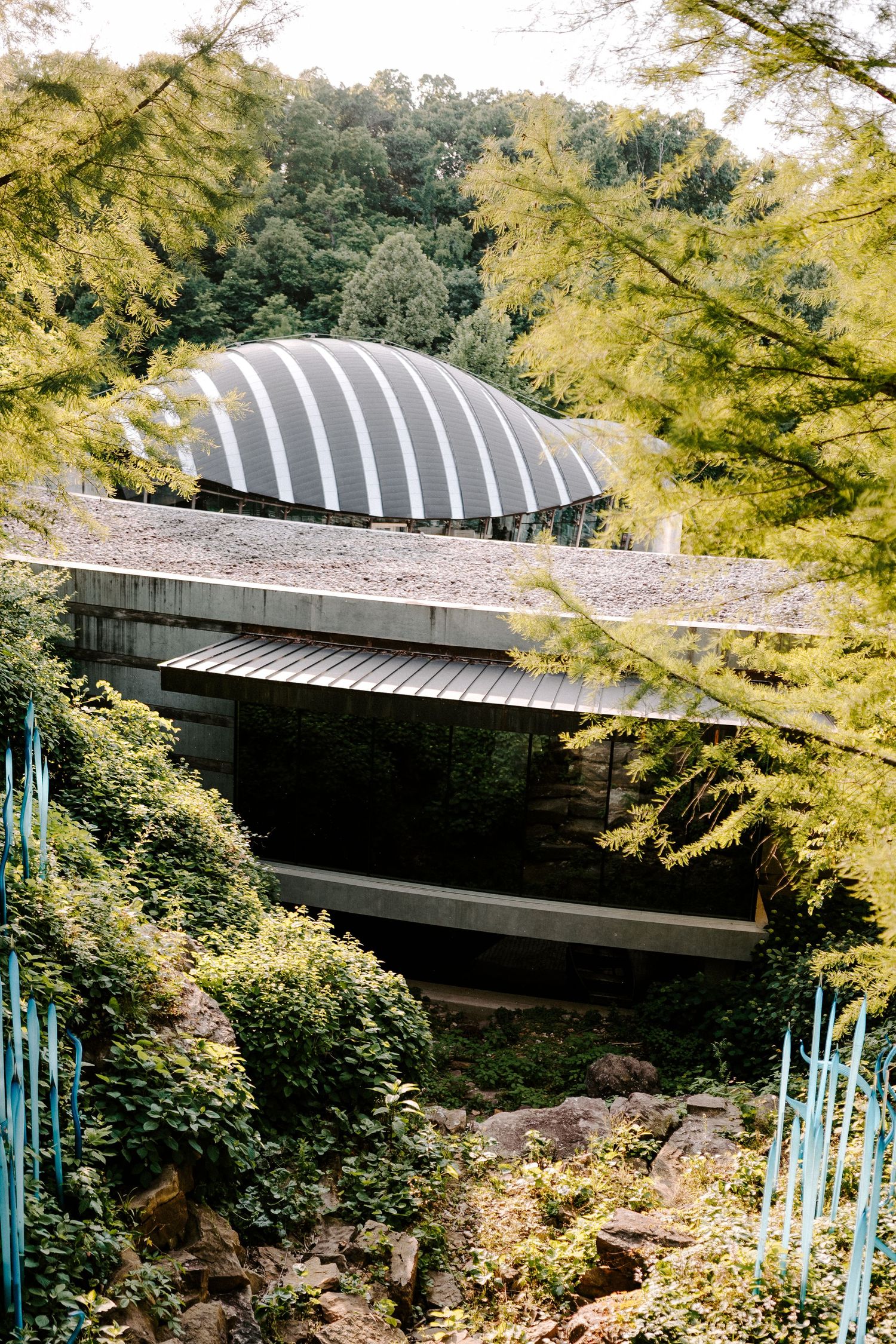 Modern curved architectural structure nestled among lush green foliage at The Crystal Bridges Museum of American Art.