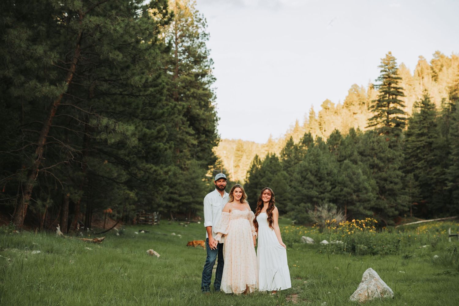 Group photos taken in a serene mountain meadow during golden hour with tall pine trees in the background.