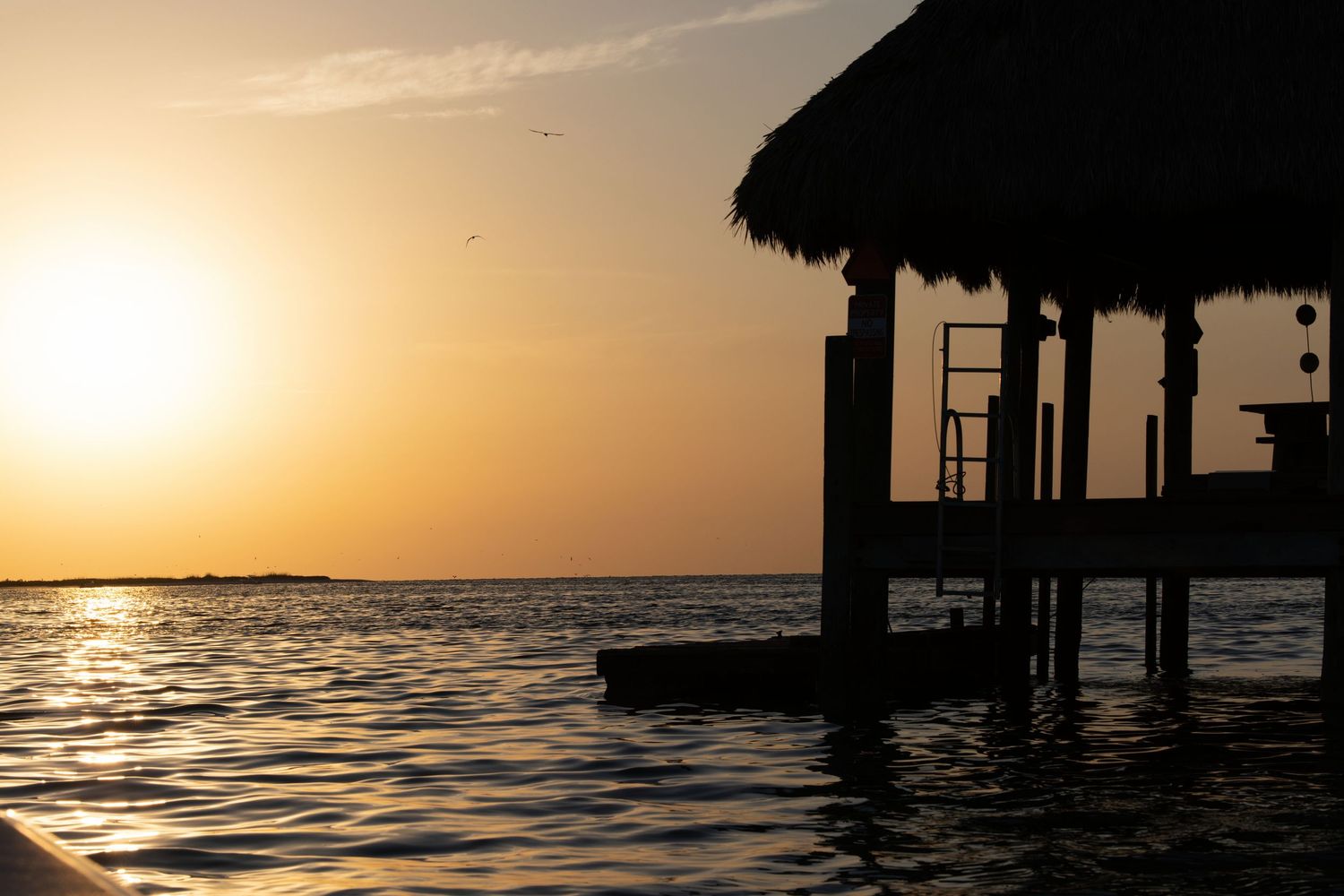 Dramatic orange sunset reflects on rippling water surface with silhouetted treeline and vibrant golden sky.