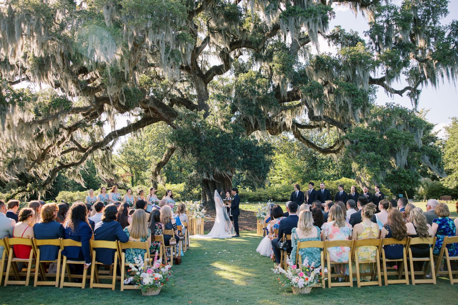 Panoramic view of an outdoor wedding ceremony setup under large oak trees with wooden chairs and guests seated.