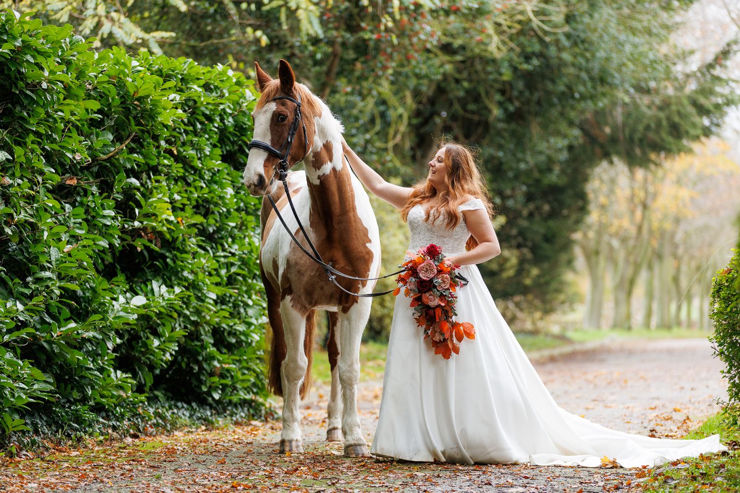 A person leads a palomino horse along a sunlit forest trail surrounded by tall evergreen trees.