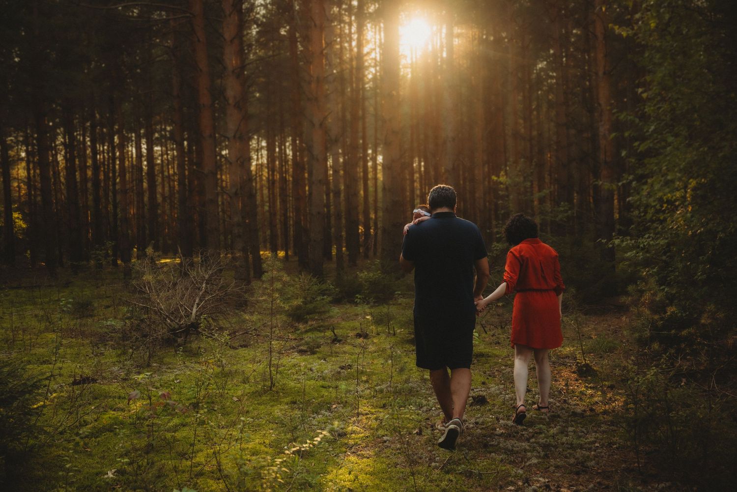 Two people walking together through sunlit pine forest at dusk.
