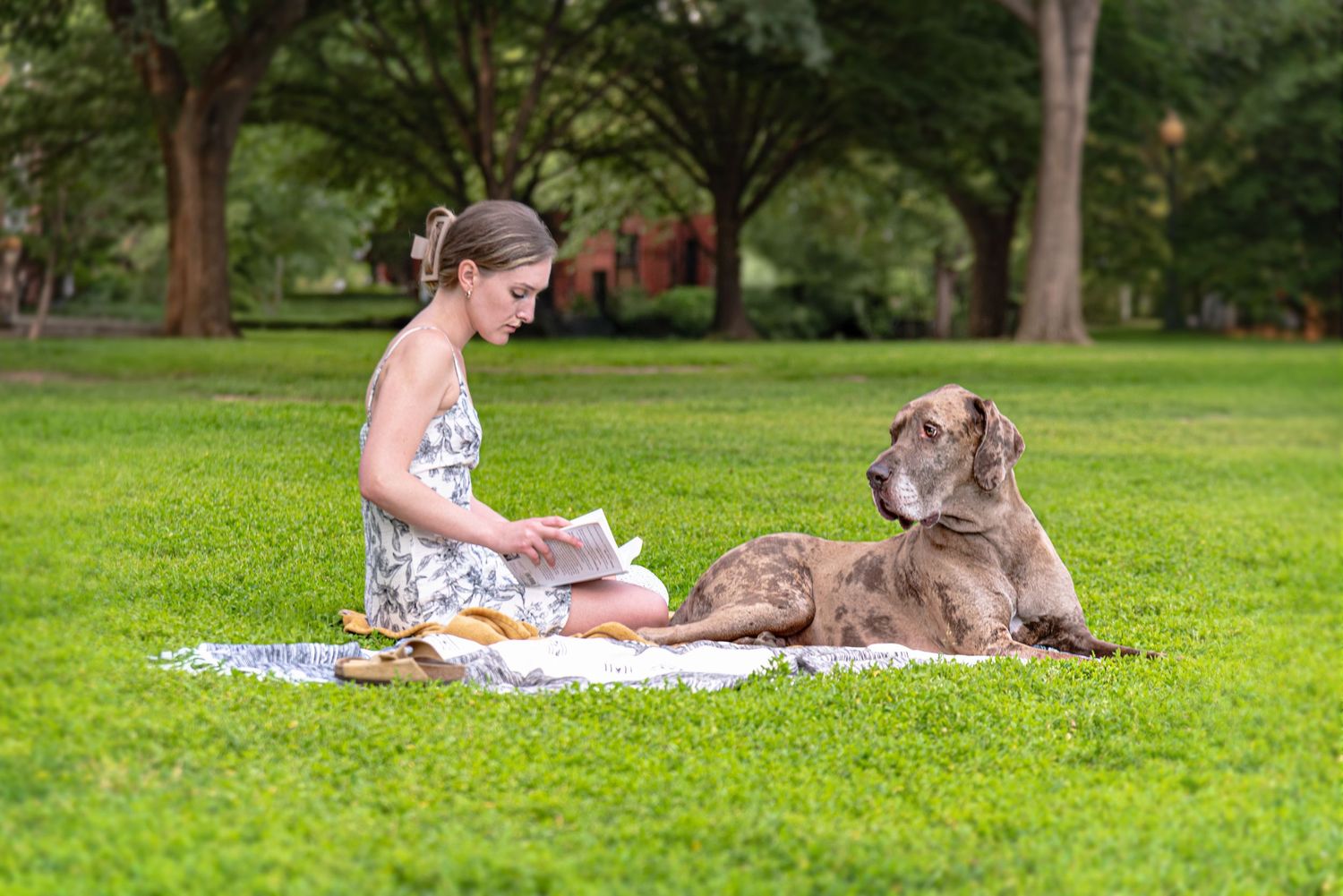 A white-spotted sundress wearing reader sits on a blanket with a large grey dog in a lush green park.