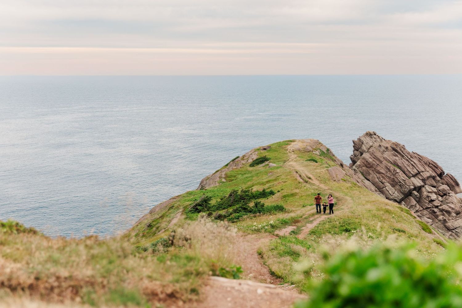 Hikers walk along a scenic coastal cliff path with green vegetation and ocean views stretching to the horizon.
