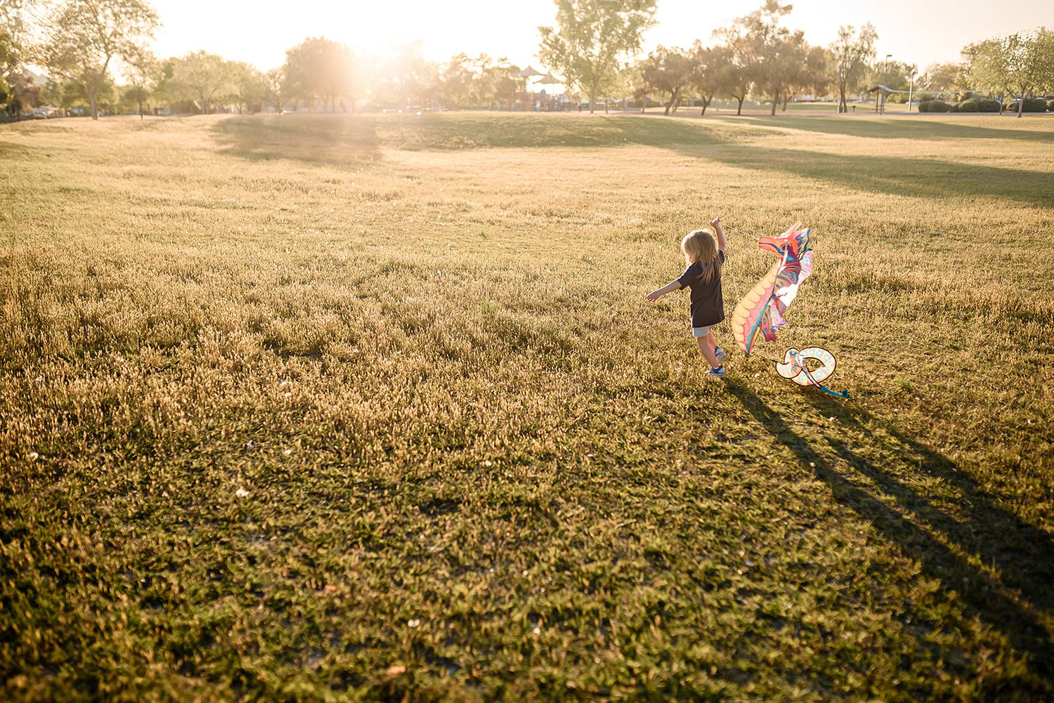A little girl casts long shadows across a field of golden grass at sunset as she flies a kite in the warm evening light in Scottsdale.