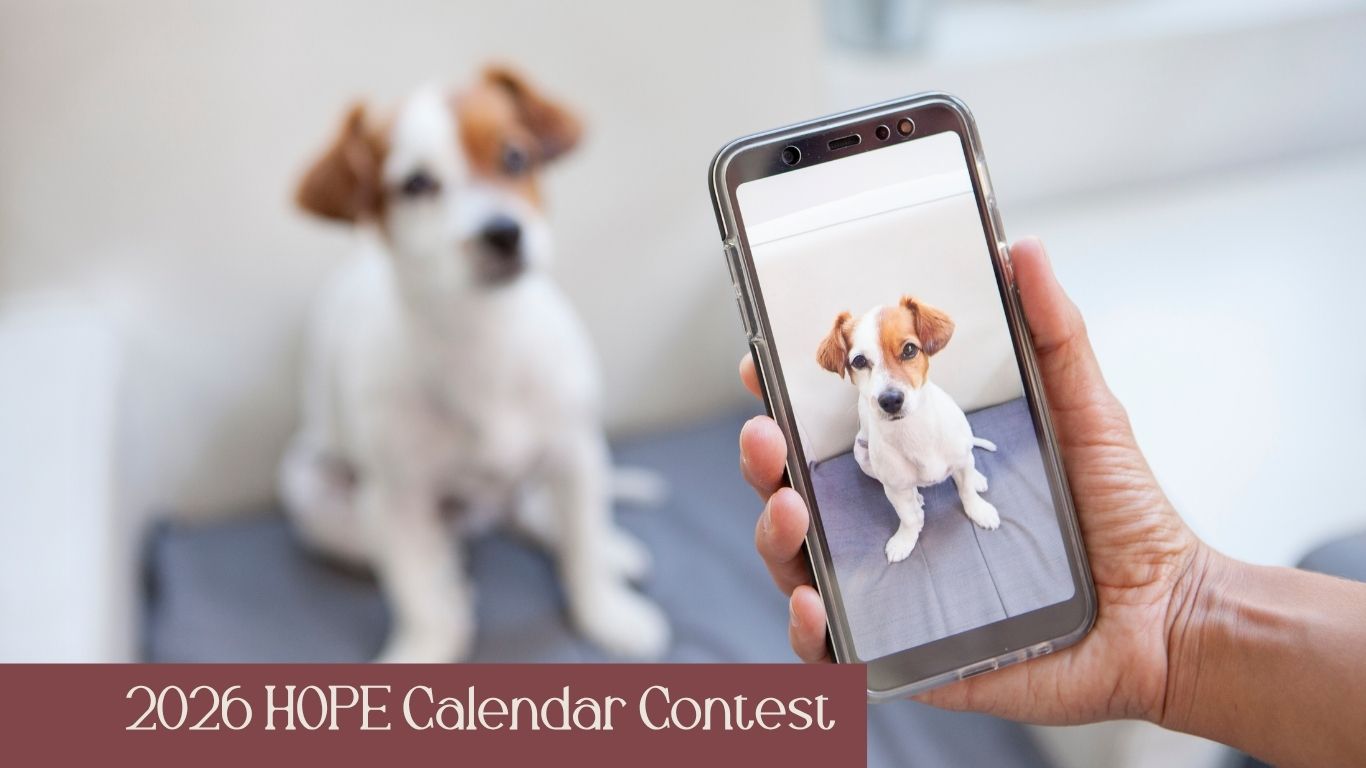 Hand holding smartphone displaying photo of small white and brown dog while same dog sits in background.