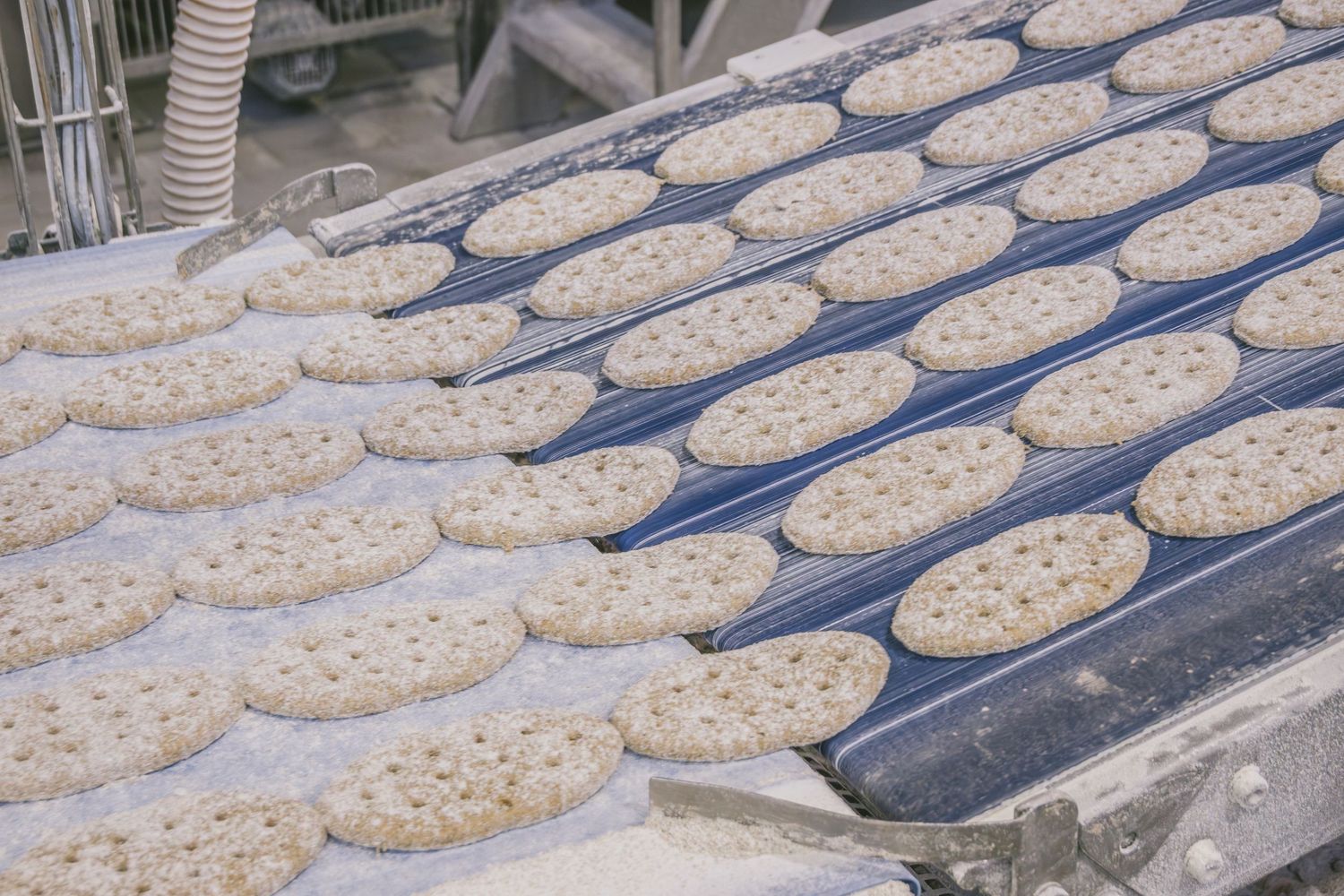 Touring Fazer’s Lahti Bakery on Wholegrain Day - Photo by © Reka Csulak - Three Pod Studio