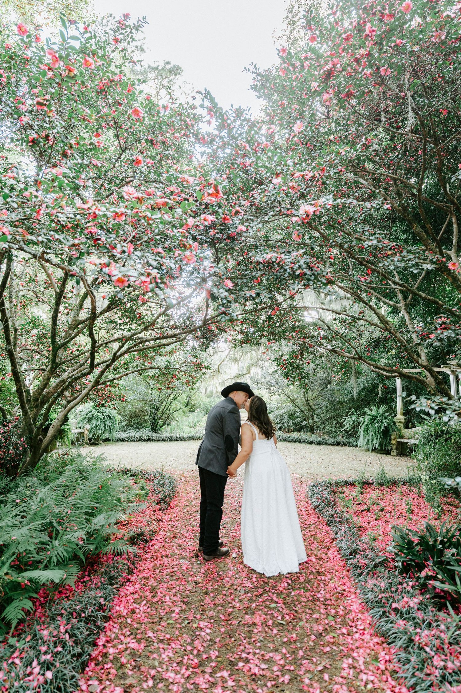A romantic garden scene with camellia trees and pink petals scattered on the ground beneath blooming branches.