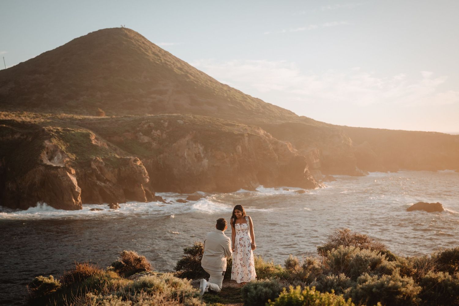 big sur proposal