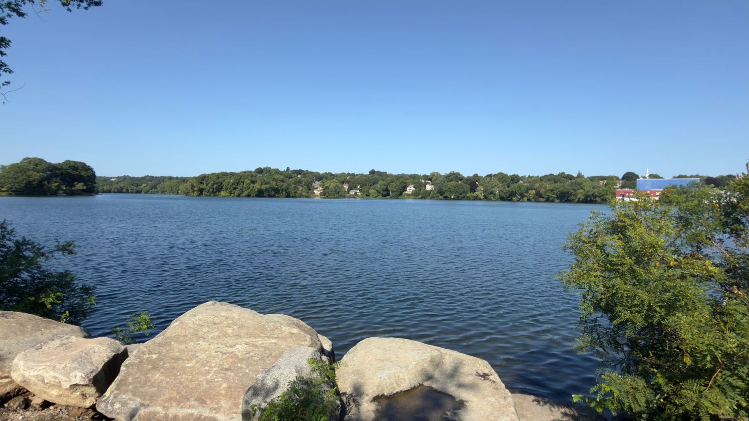 Scenic lake view with calm blue water, rocky shoreline, lush green trees, and distant buildings under a clear blue sky.