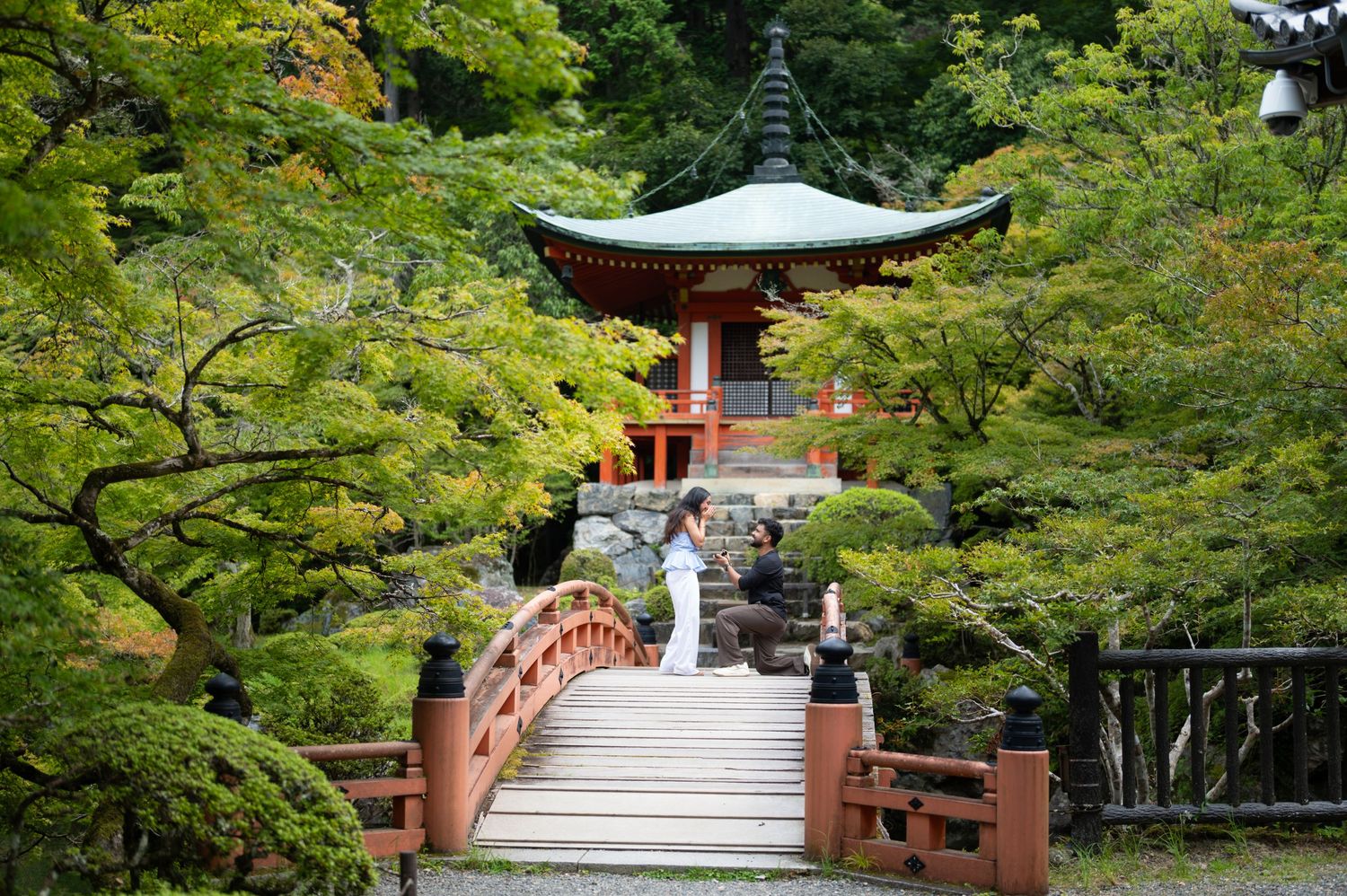 Visitors stand on stone steps near a red wooden arched bridge leading to a Japanese temple pavilion surrounded by lush green trees.