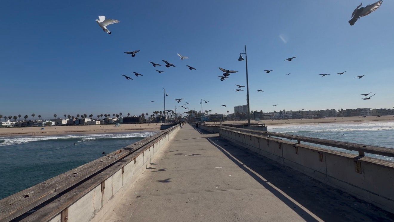 Seagulls flying over a concrete pier with ocean waves and sandy beach under a clear blue sky.