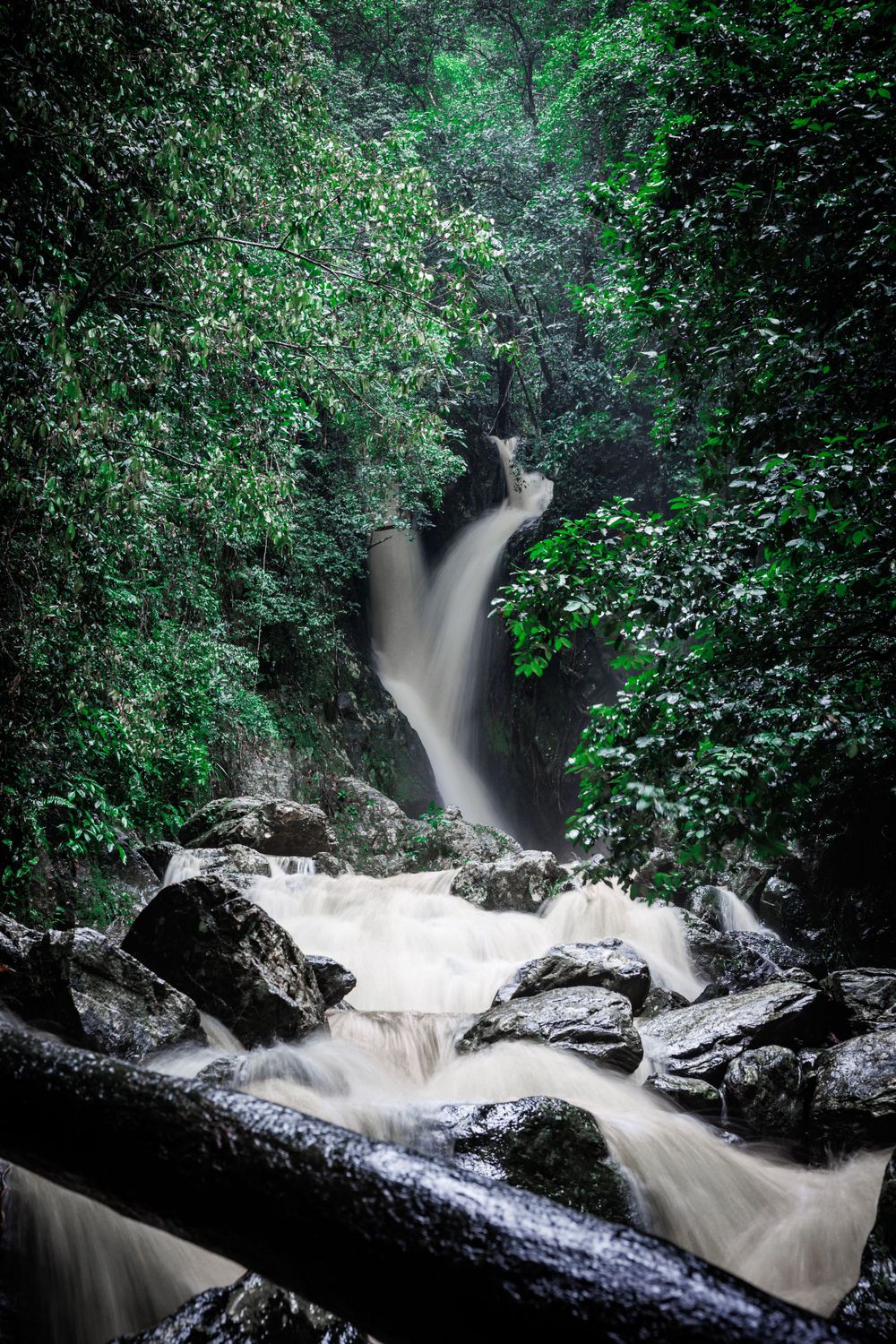A cascading waterfall flows through lush green forest over moss-covered rocks creating a serene natural scene.