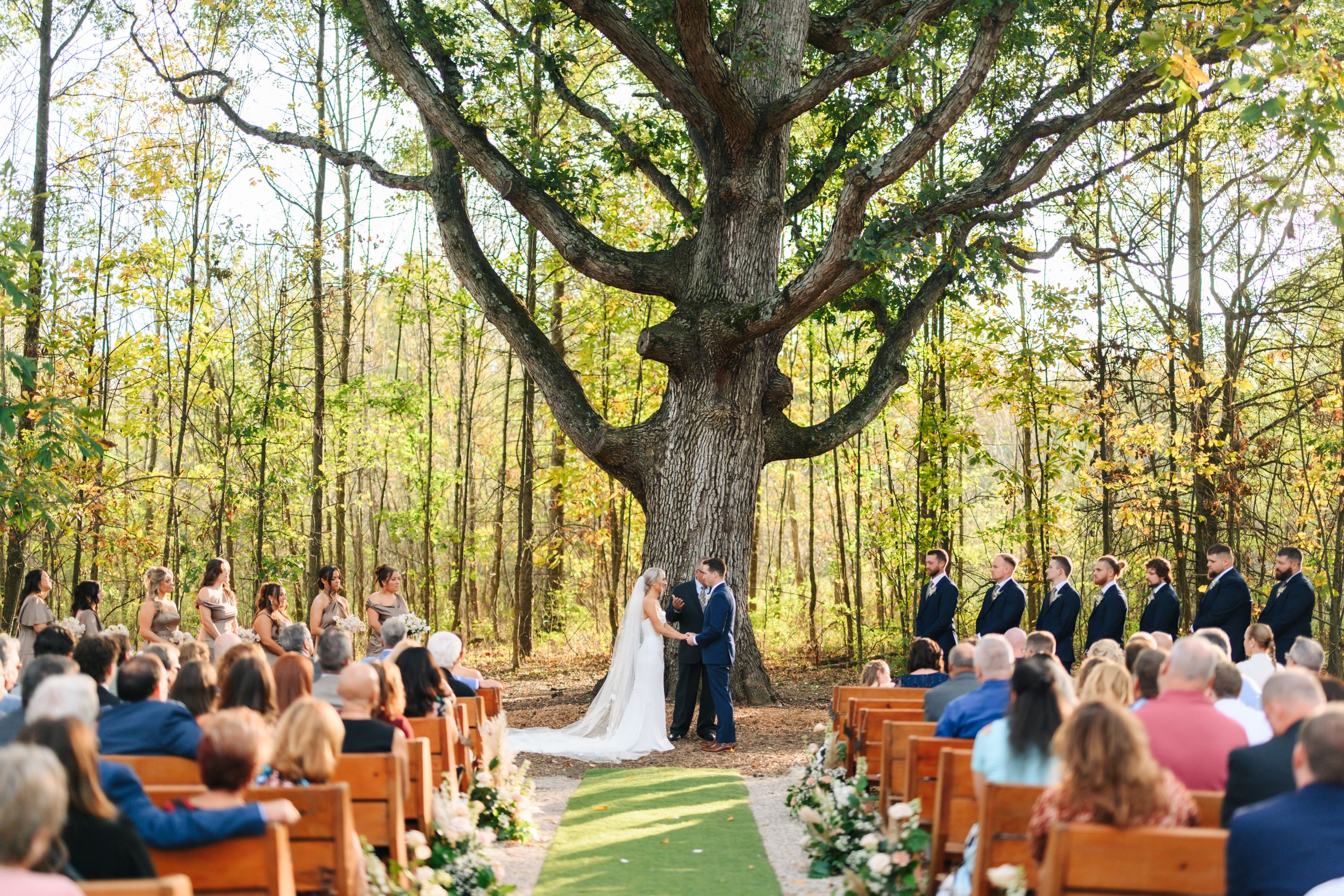 Outdoor wedding ceremony under a majestic oak tree with wooden chairs set up for guests in a sunlit forest setting.