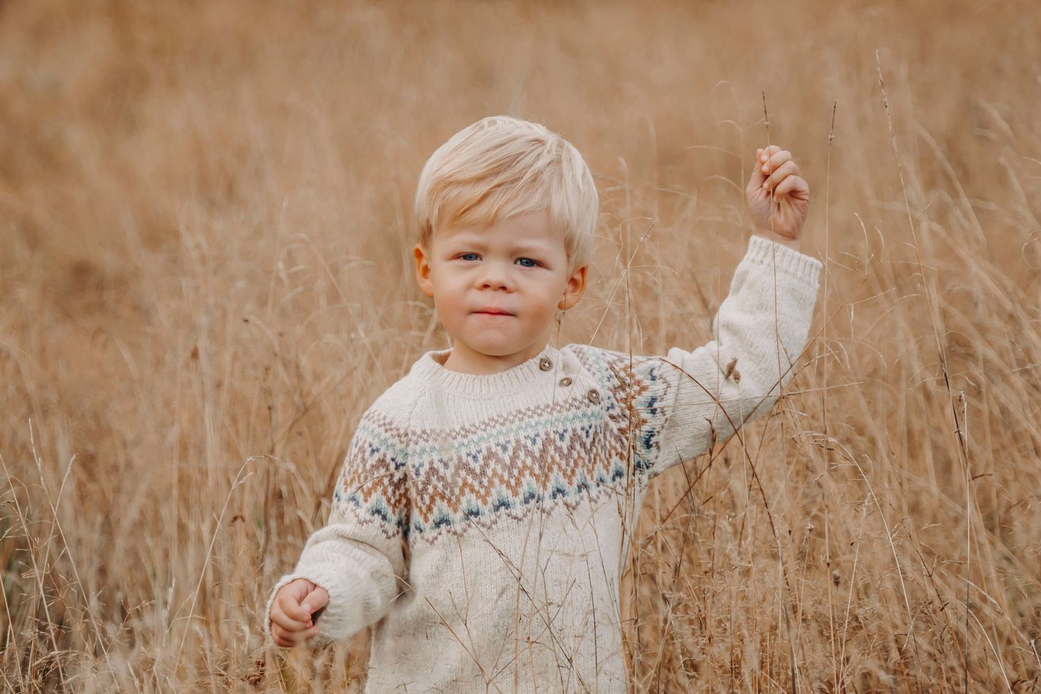 Young child in Fair Isle sweater playing in tall autumn grass during golden hour.