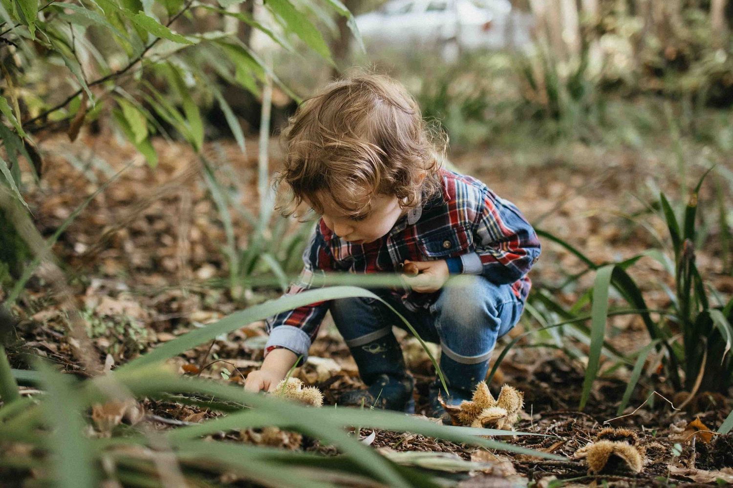 A young toddler in jeans and plaid shirt crouches down to explore nature in a garden setting.