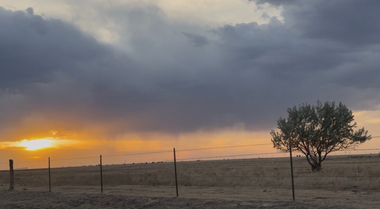 Dramatic sunset over open plains with storm clouds, fence line, and lone tree silhouetted against orange sky.