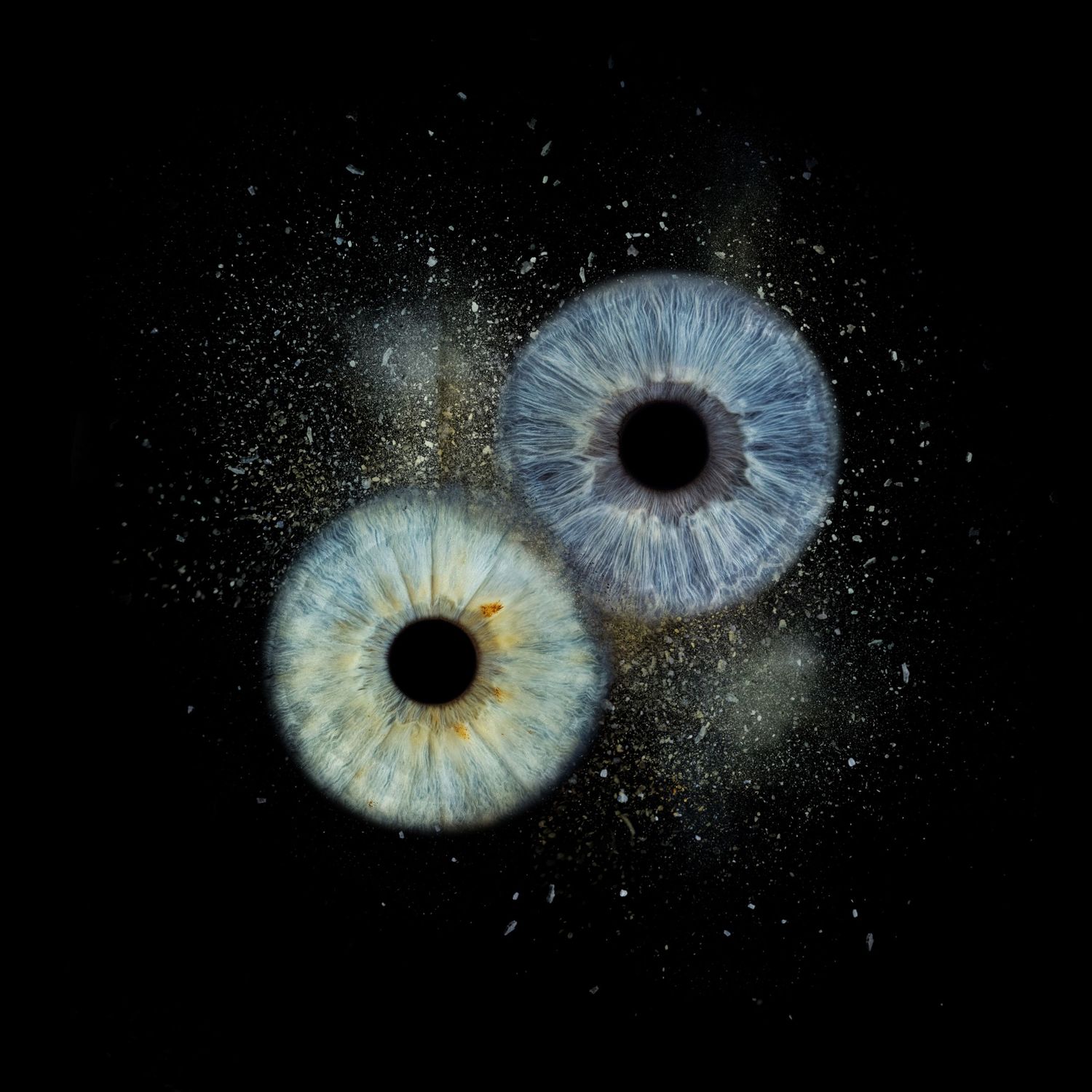 Utah Iris Photographer gift card featuring two detailed close-up iris eye photographs on a sleek black background.