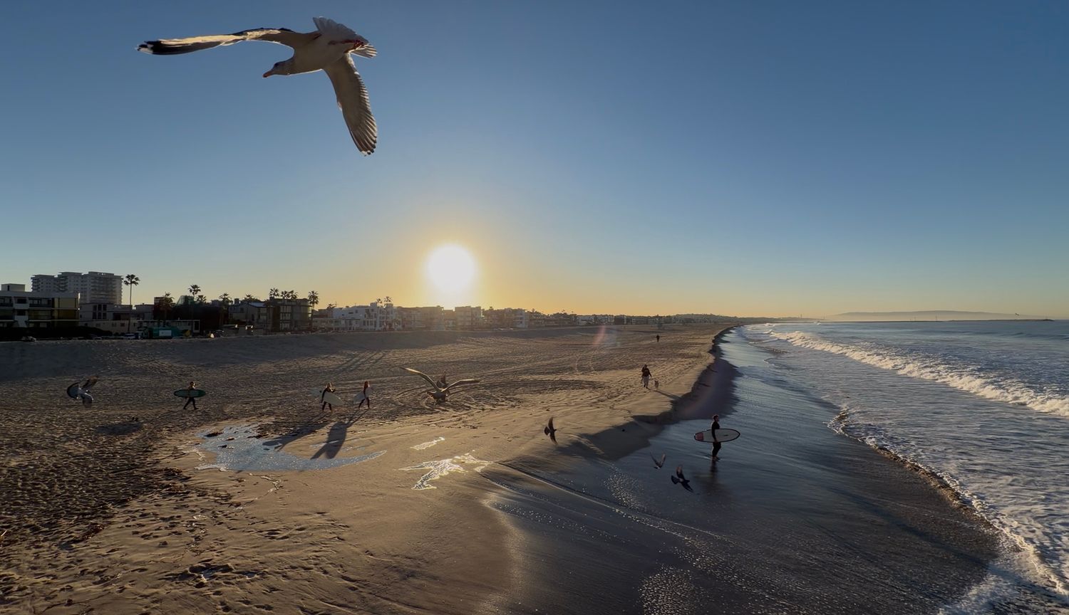 A collection of beach scenes showing seagulls, waves, and sunsets along a sandy shoreline.