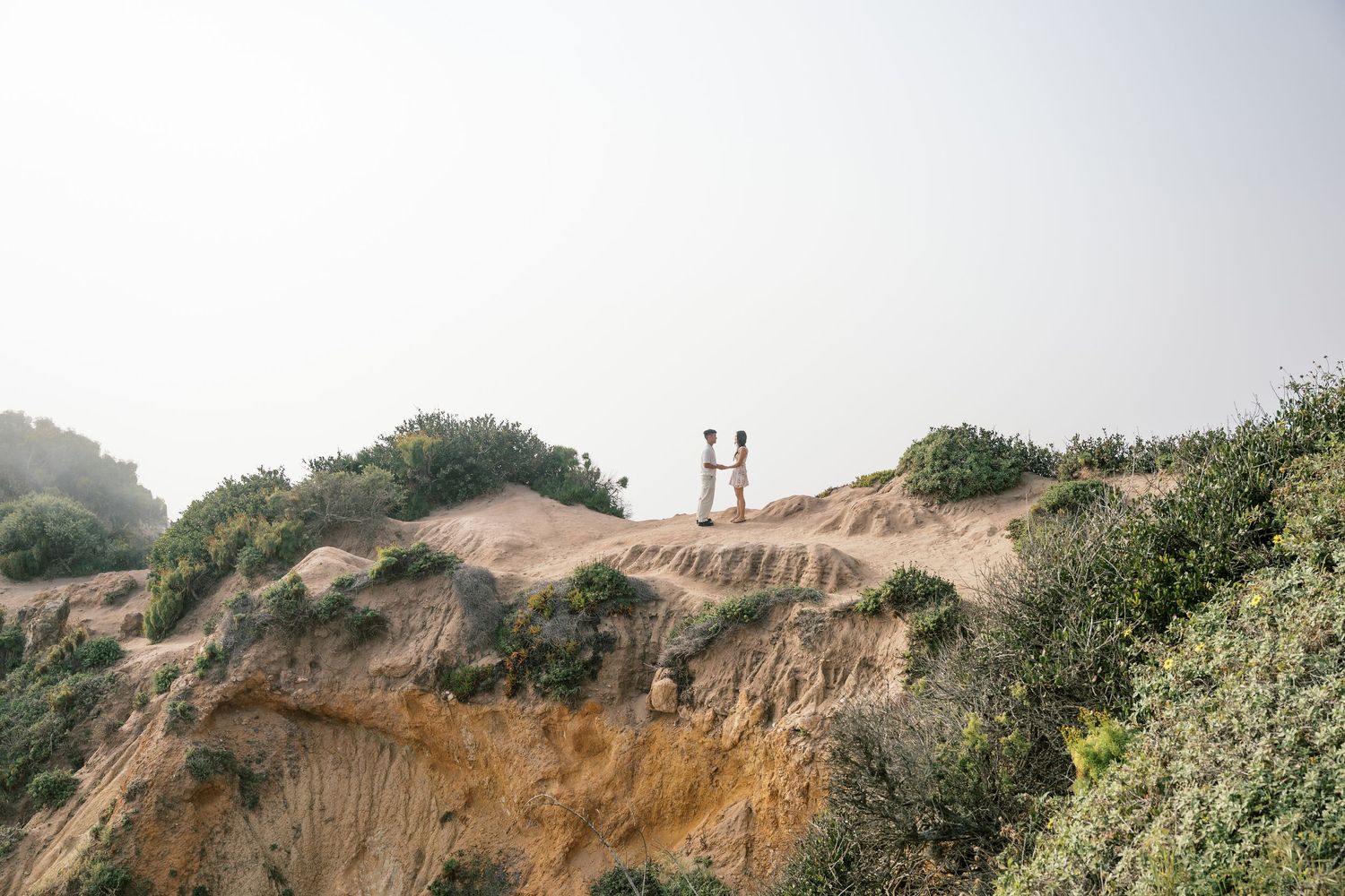 Panoramic view of coastal cliffs with sandy bluffs and green vegetation along the California coastline.