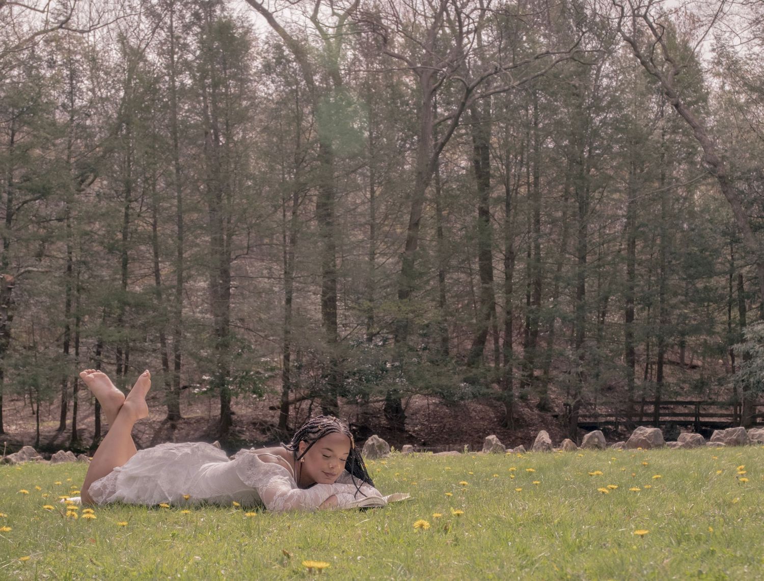 A white horse rolling on its back in a grassy field with yellow wildflowers, surrounded by trees.