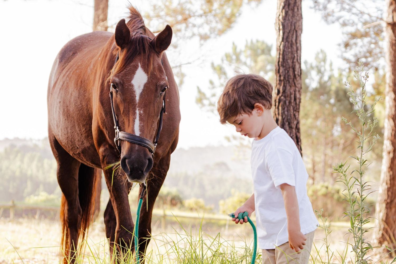 Family portrait session photographed outdoors in the Garden Route