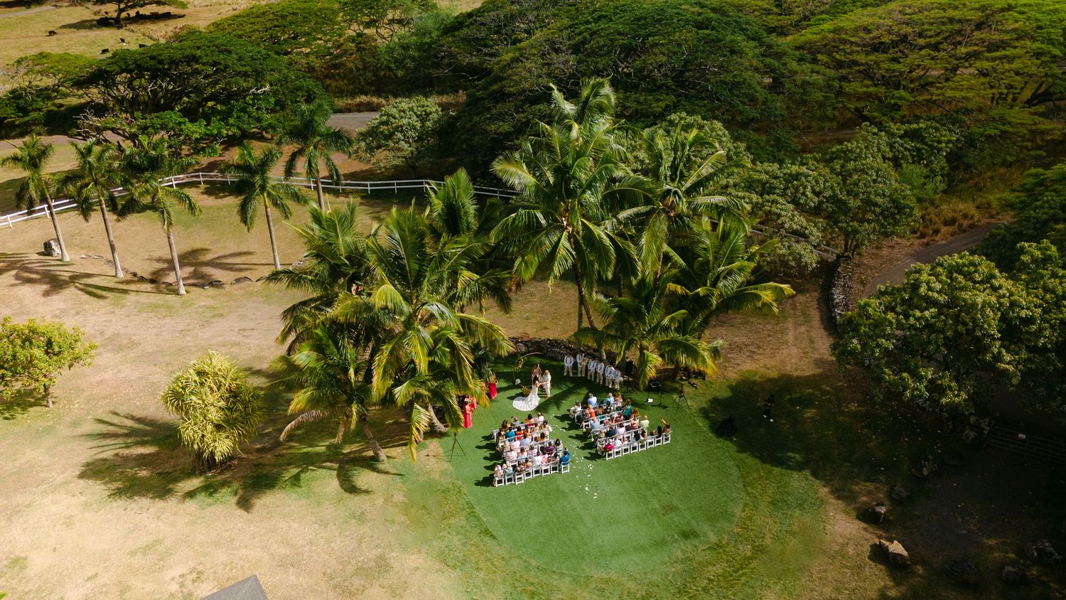 Panoramic view of a lush tropical garden with palm trees, green lawns, and colorful flowers in a sunny setting.