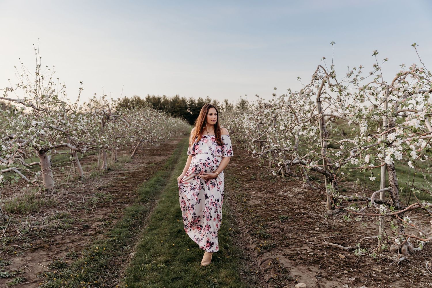 Spring blossoms frame a scenic path through an orchard with white flowers blooming on fruit trees. Cleveland Maternity Photographer.