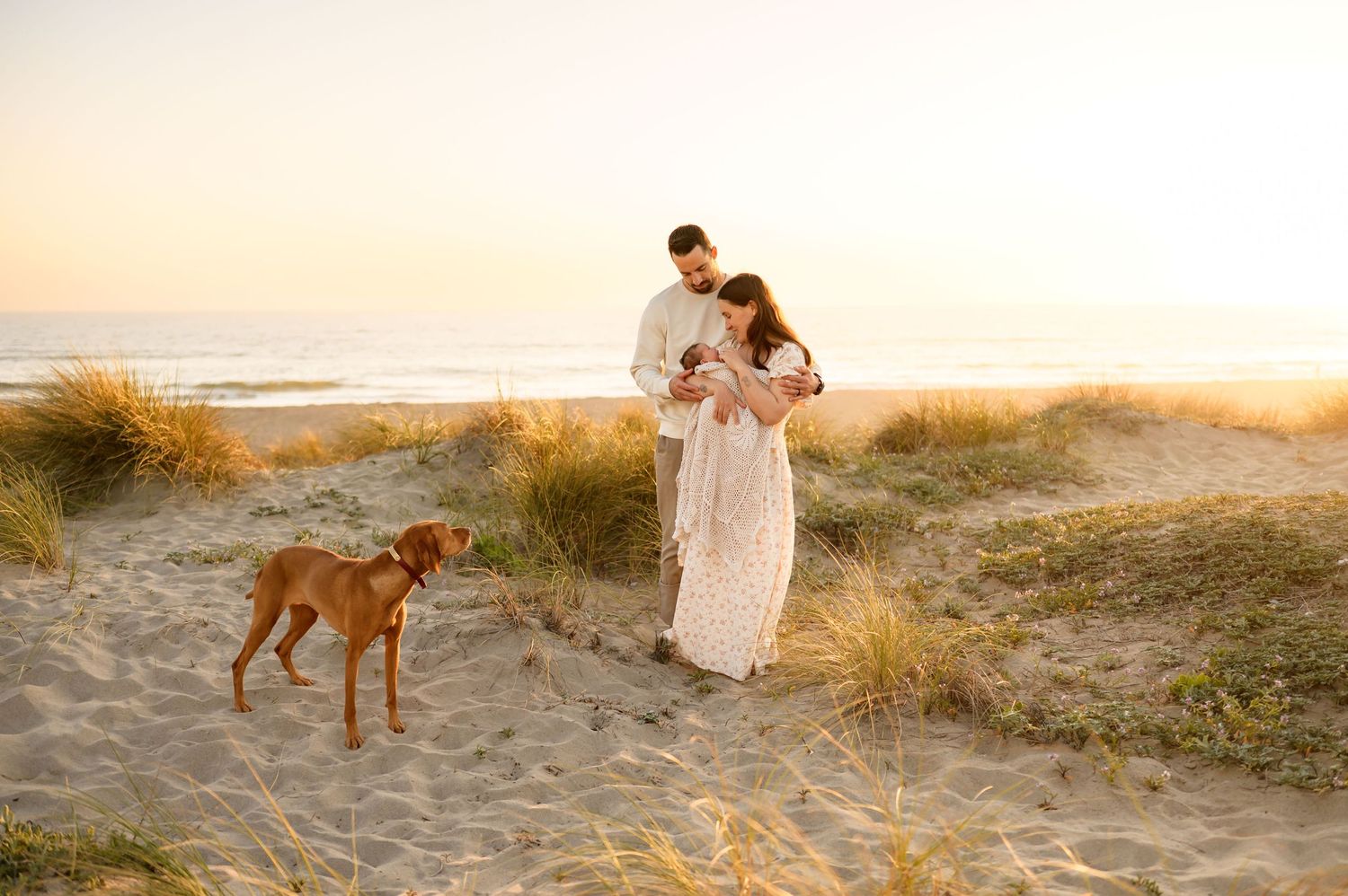 Sunset Ventura Beach newborn photoshoot, by Santa Barbara and Ventura Photographer, of family at the beach with their newborn and dog