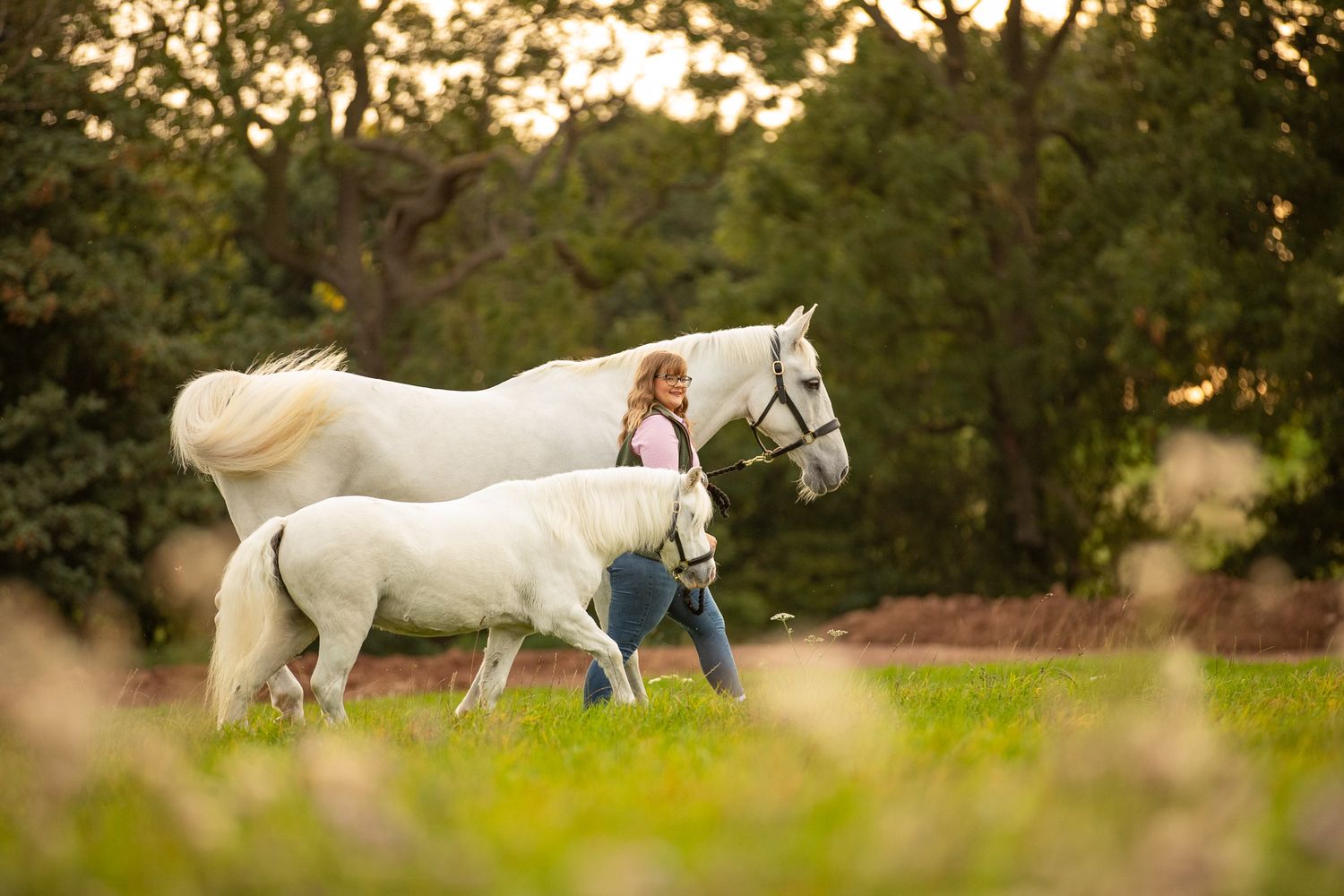 A person leads a palomino horse along a sunlit forest trail surrounded by tall evergreen trees.