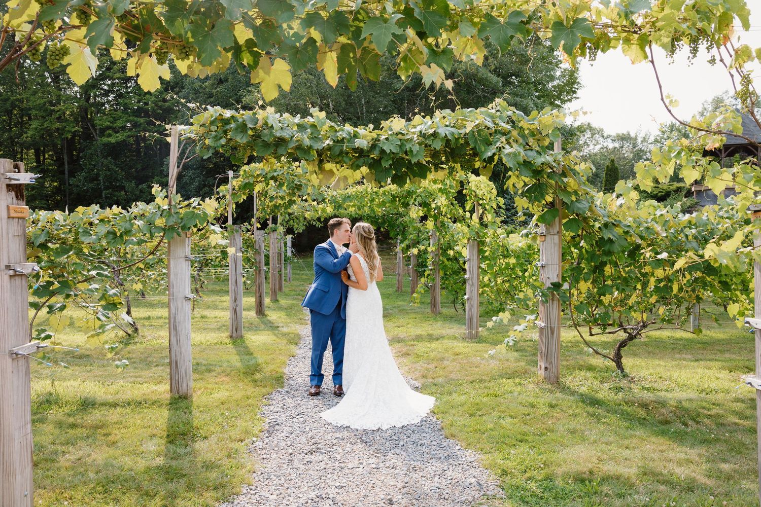 A couple embraces on a gravel path under a lush vineyard pergola on a sunny summer day.