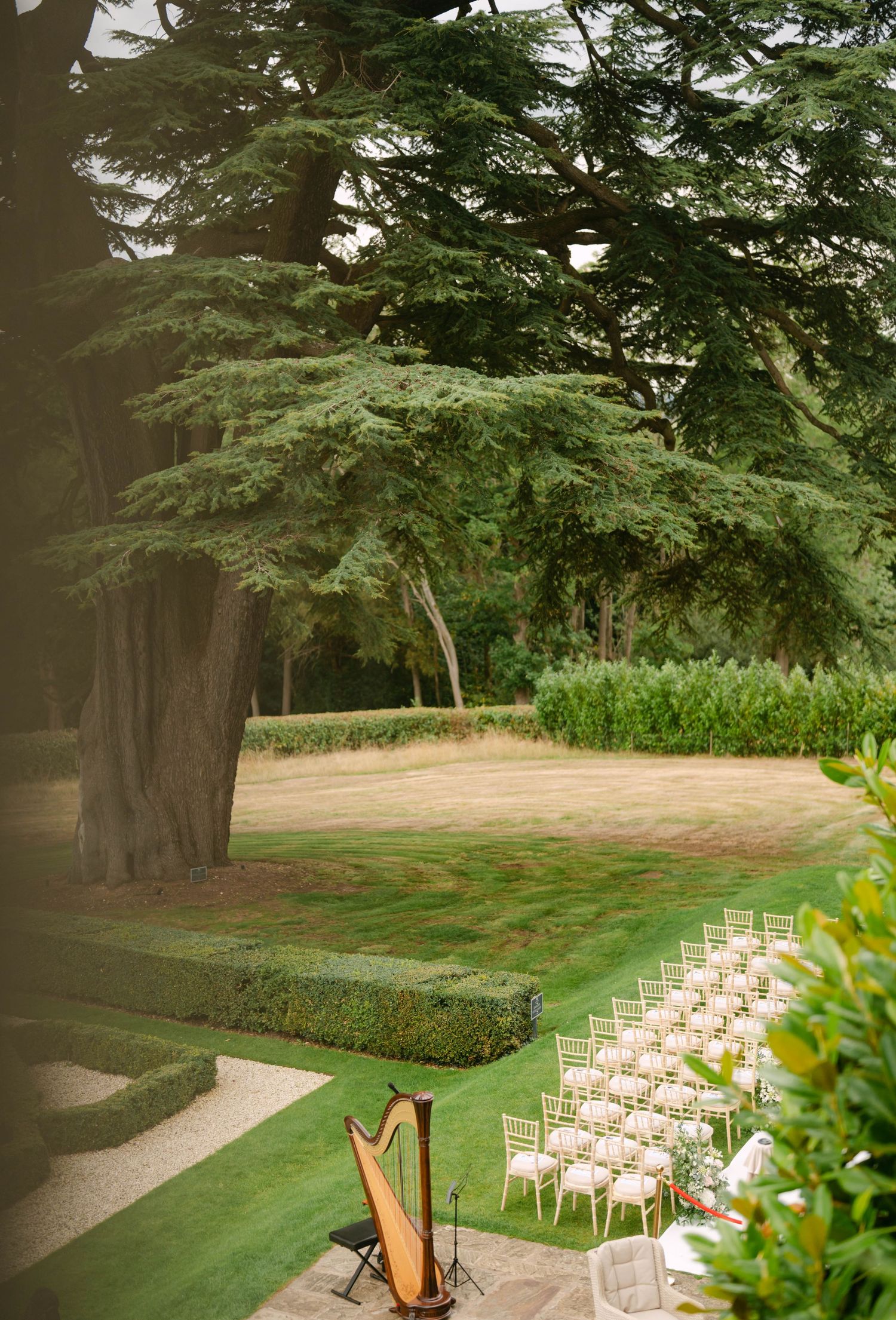 Outdoor wedding ceremony setup with white chairs and a harp on a manicured lawn under tall trees.