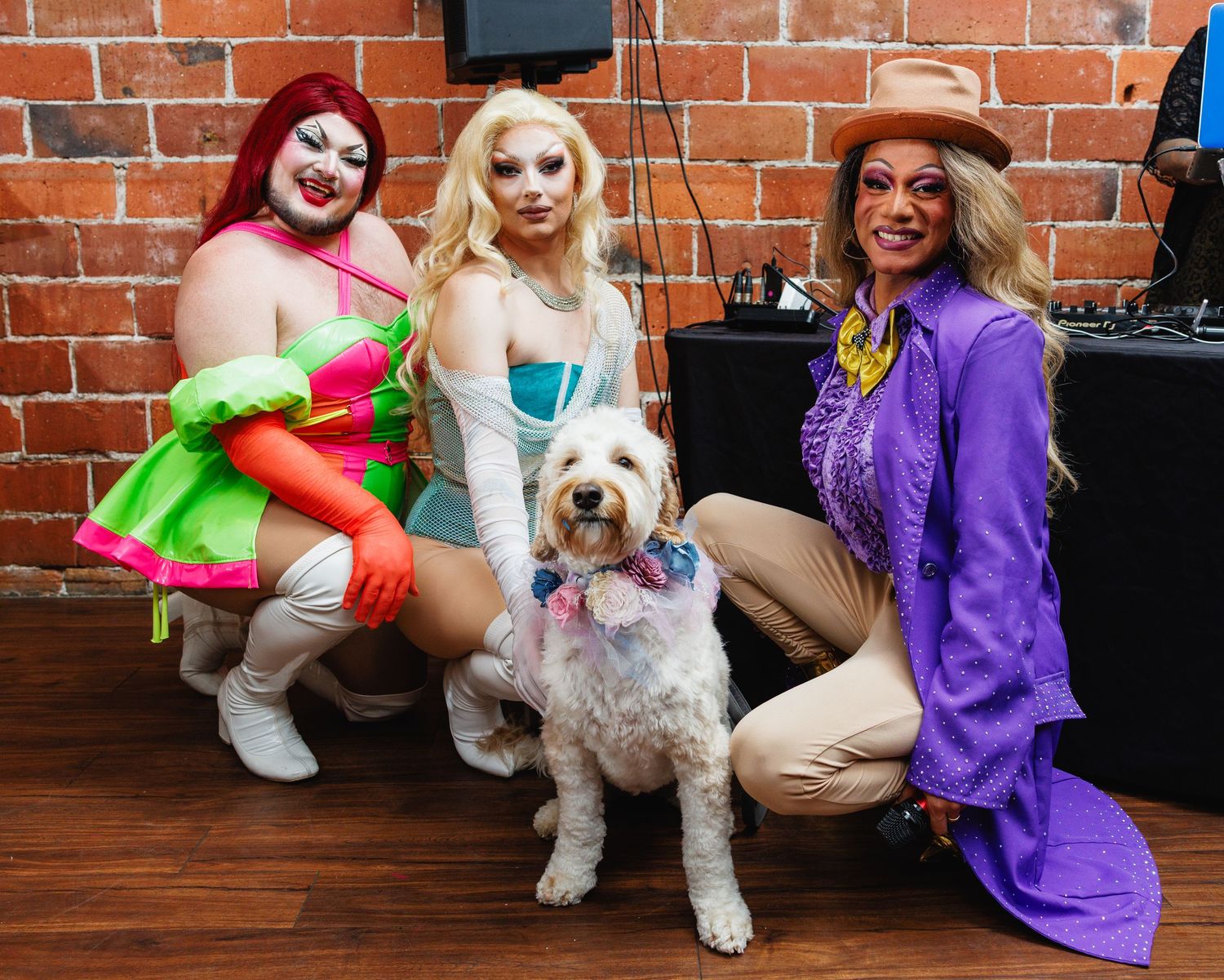 Three drag queens in colorful costumes posing with a fluffy white dog in front of a brick wall.