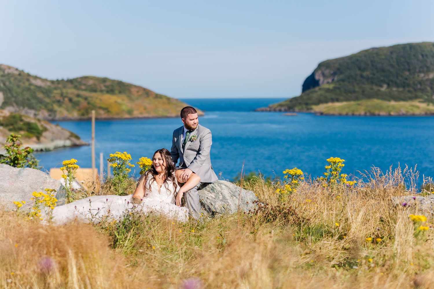 Five connected landscape images show a scenic coastal view with hills, water, and wildflowers in the foreground.