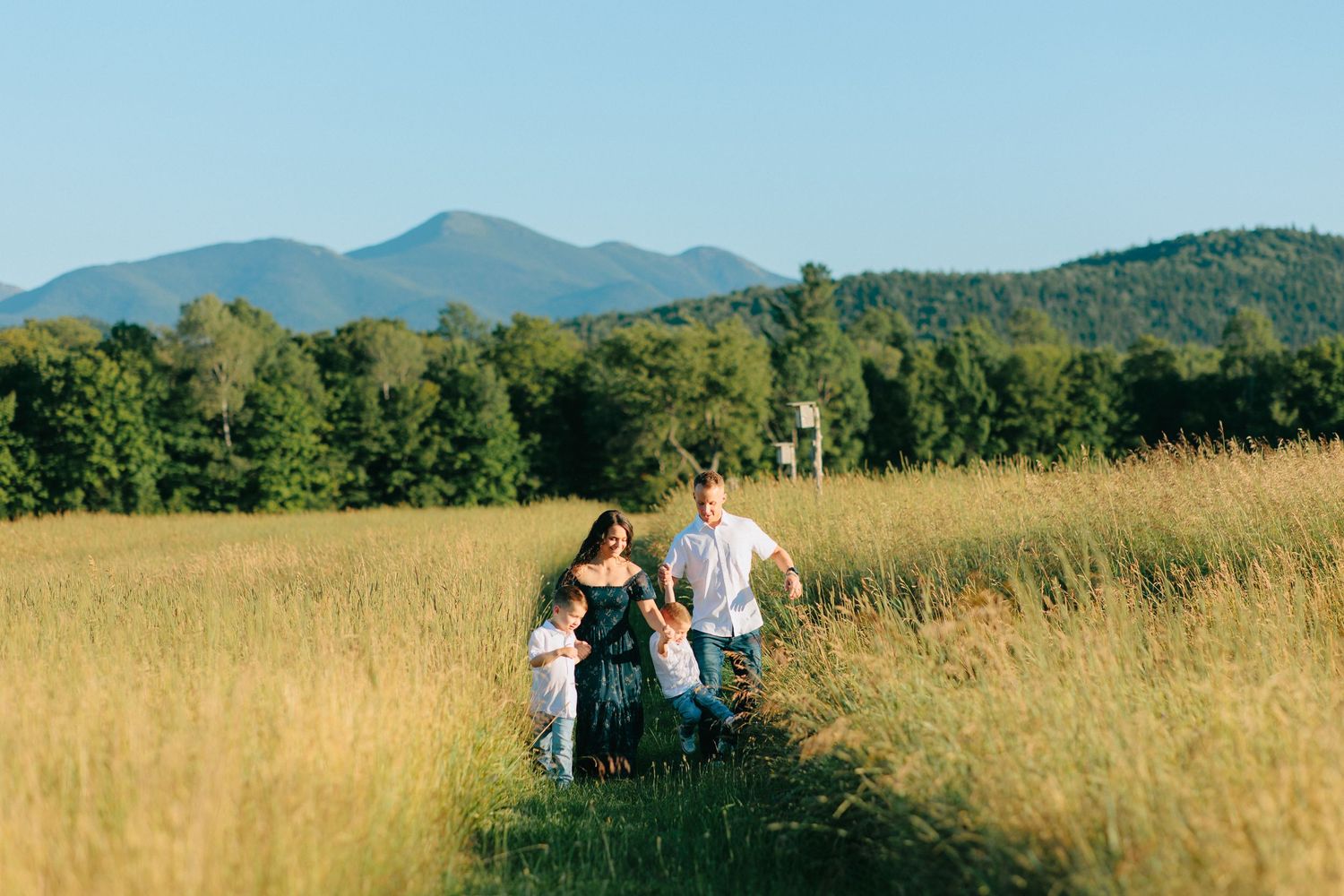 A group walks through a golden meadow with mountain views and lush forest in the background.