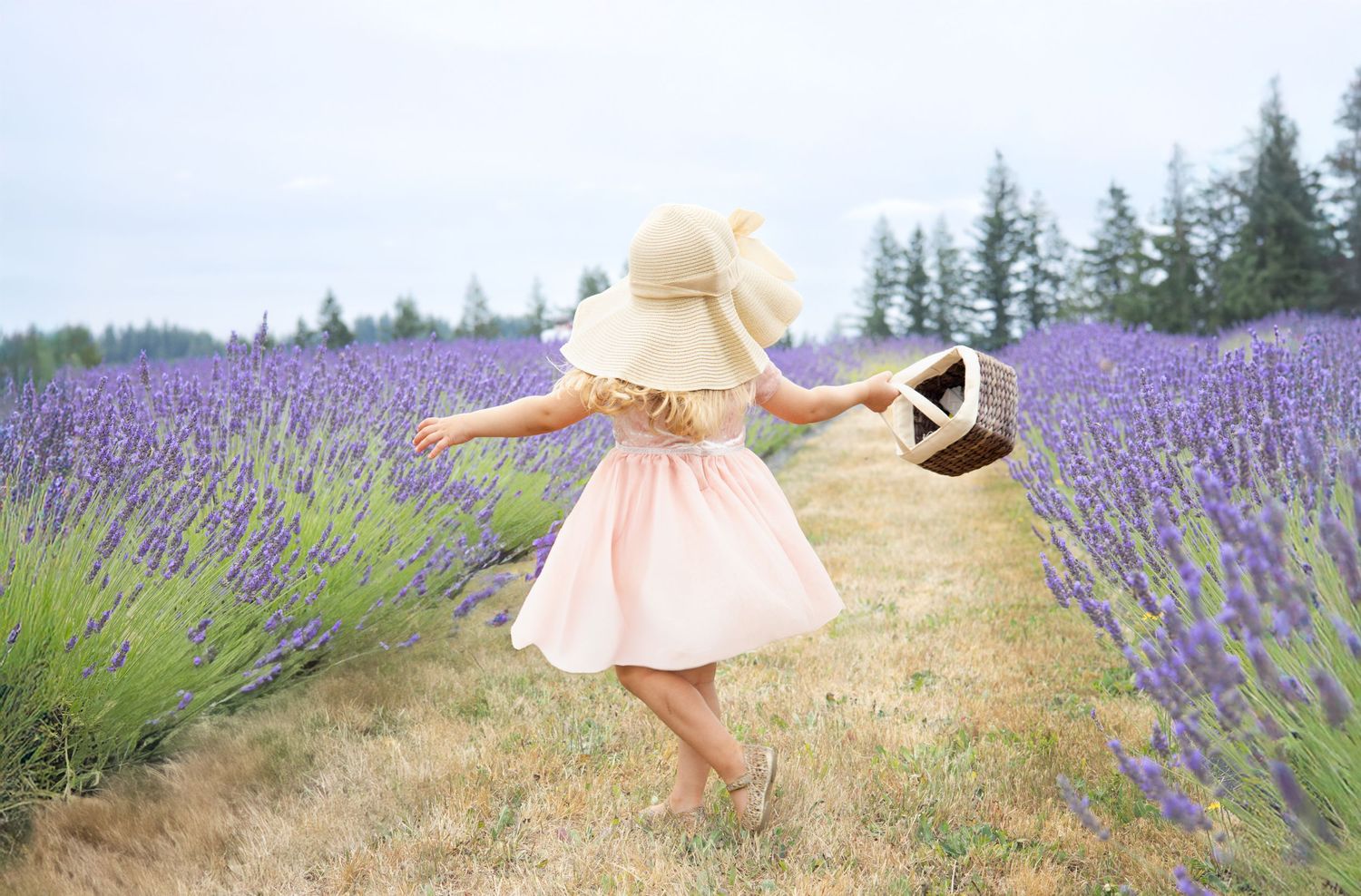 Playful moments captured in lavender field during golden hour.