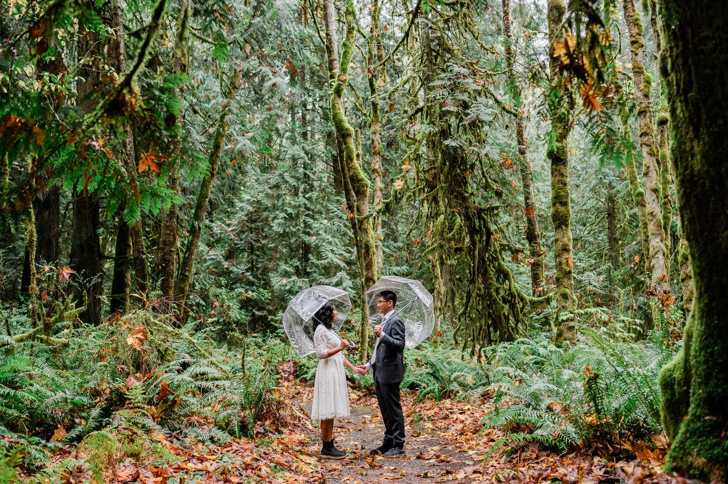 Bride and groom holding clear umbrellas in the grand forest west. Photo by Bainbridge Island Elopement Photographer.