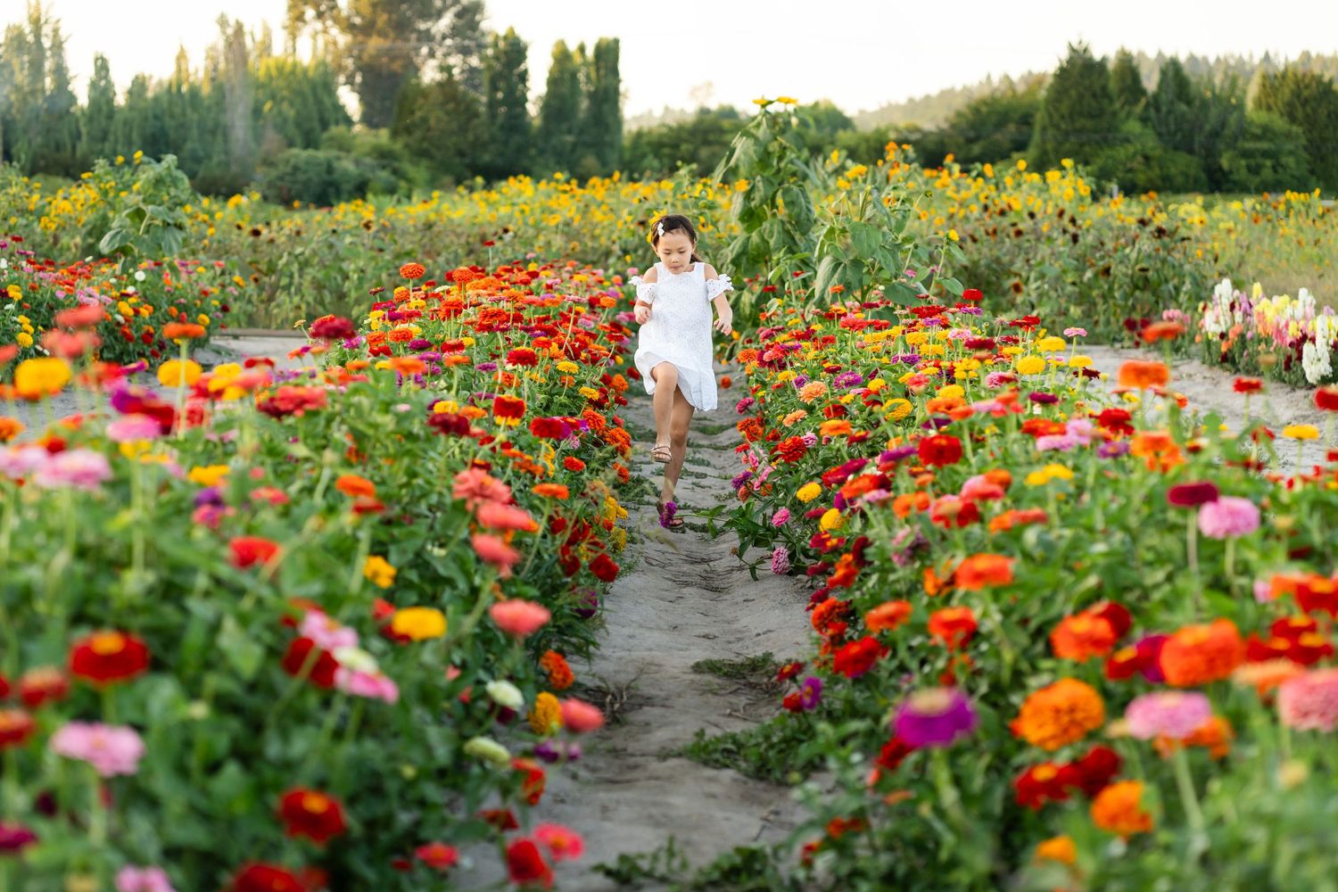 Girl running through a flower field in Woodinville.