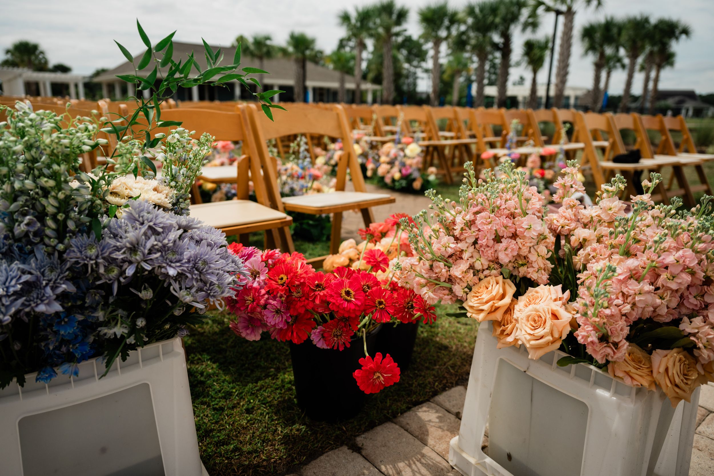 Vivid floral display featuring roses in various colors arranged in white boxes outdoors.